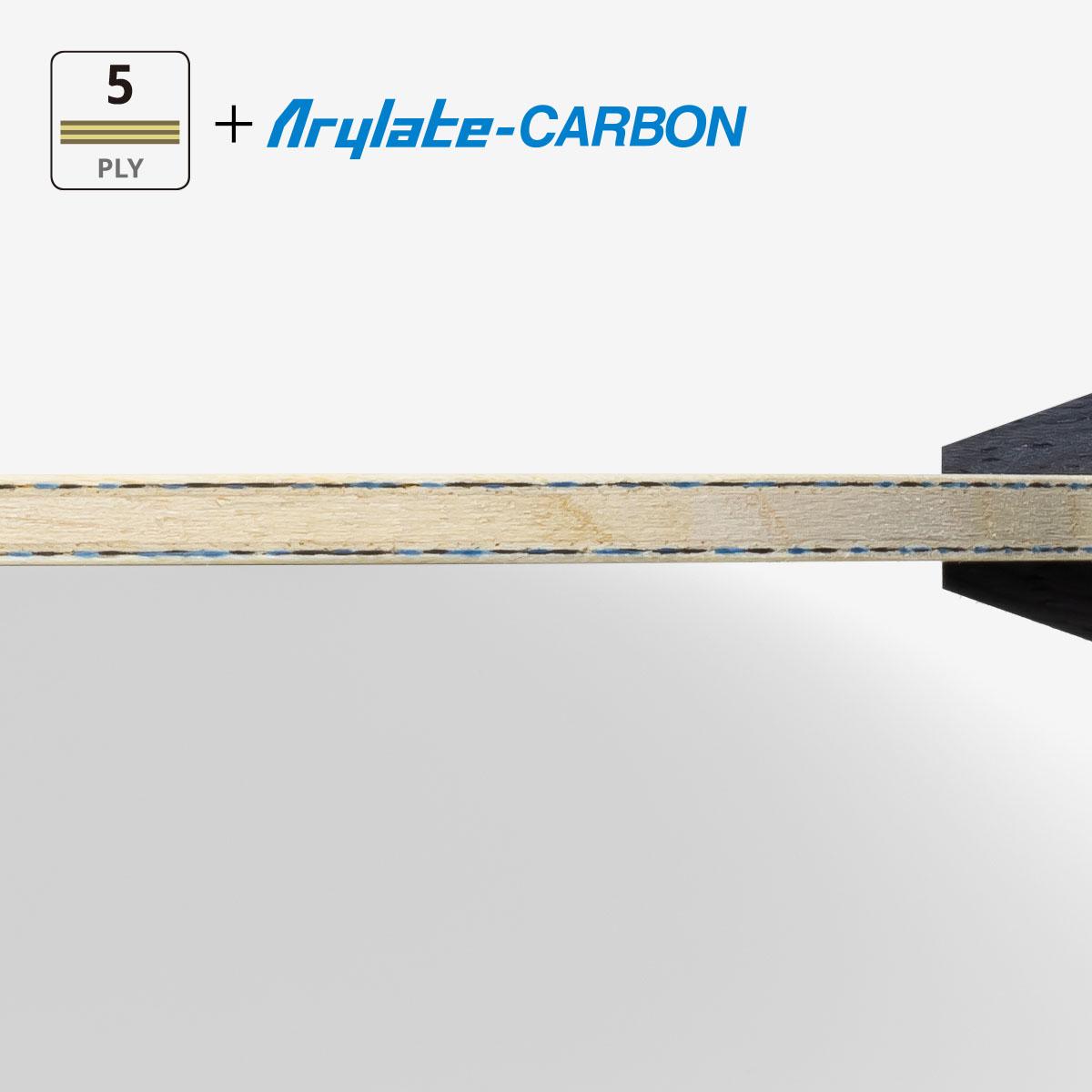 Fan Zhendong ALC CS view 2