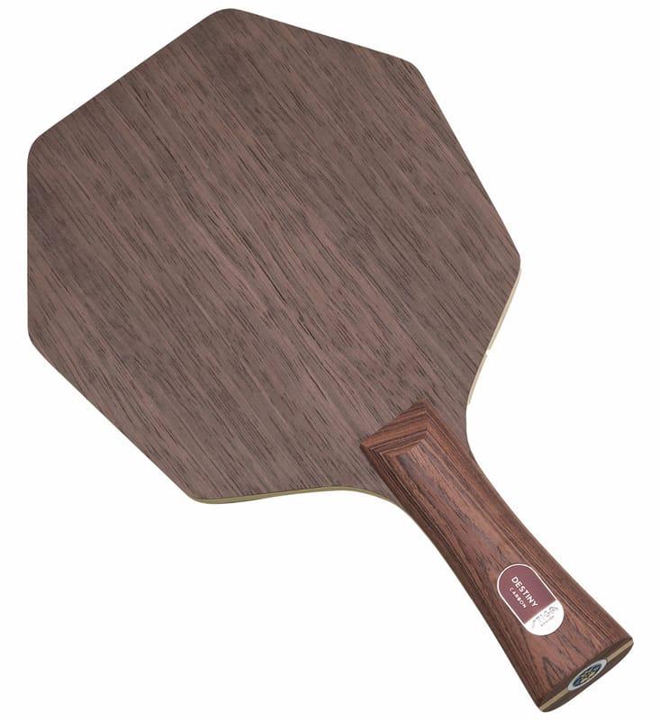 Stiga Destiny Carbon Cybershape view 2