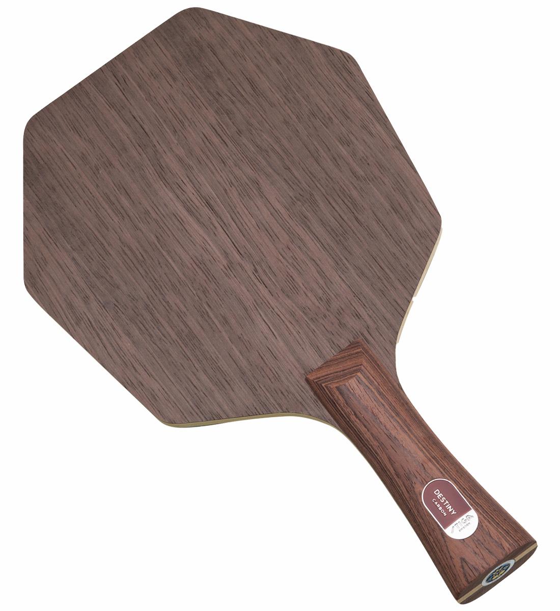 Stiga Destiny Carbon Cybershape view 2