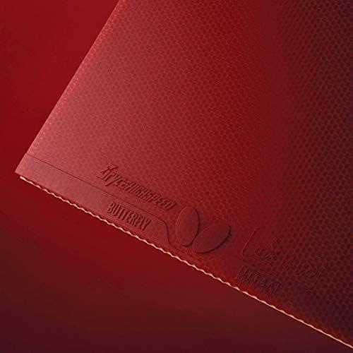 Bryce High Speed view 2