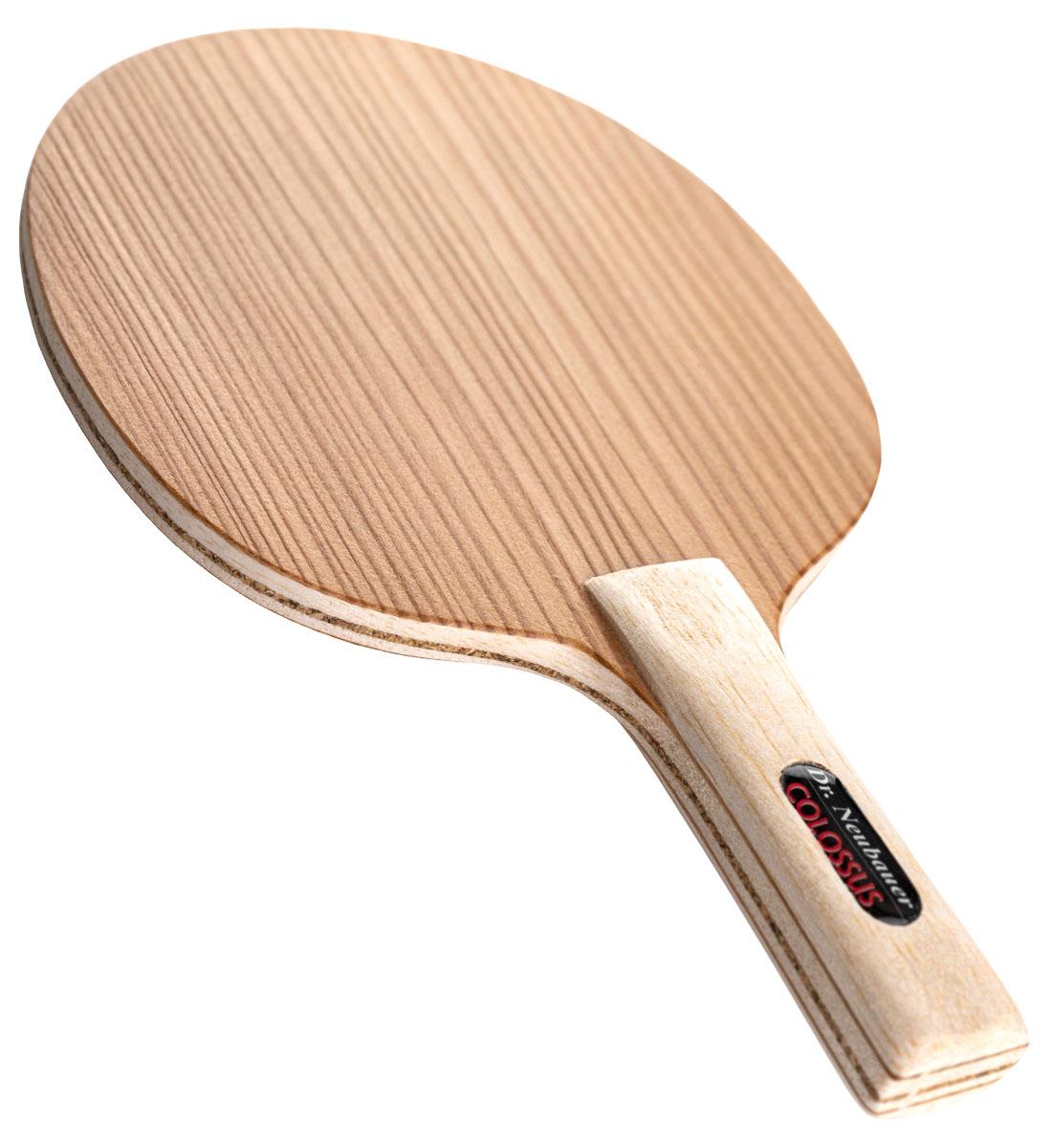 Dr. Neubauer Colossus view 2