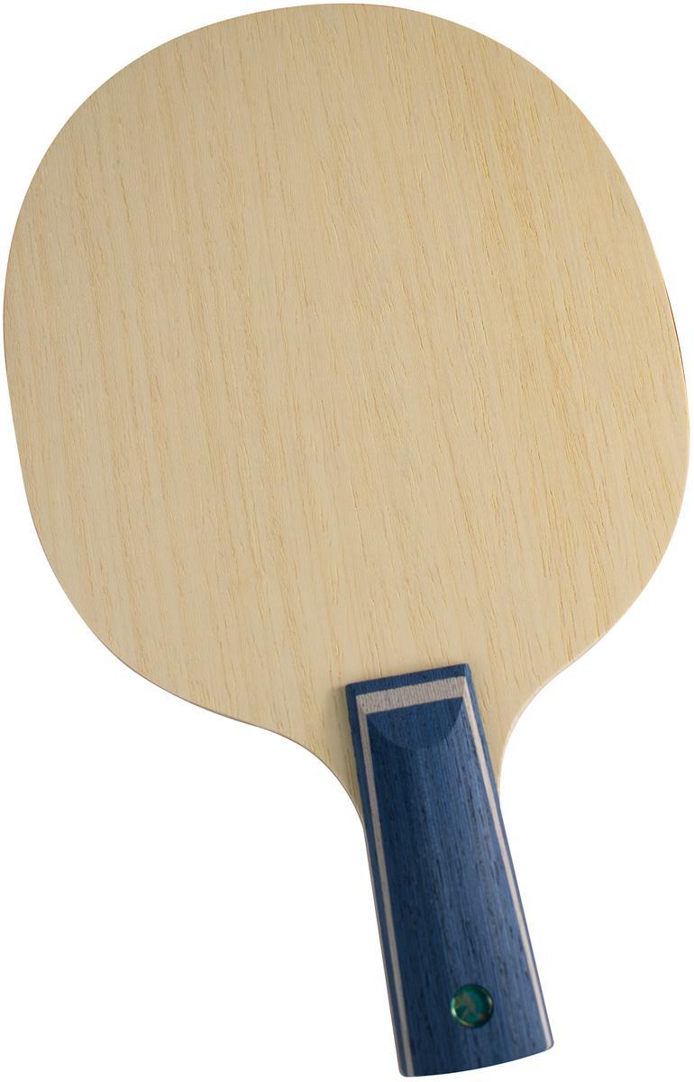 Timo Boll CAF CS view 2