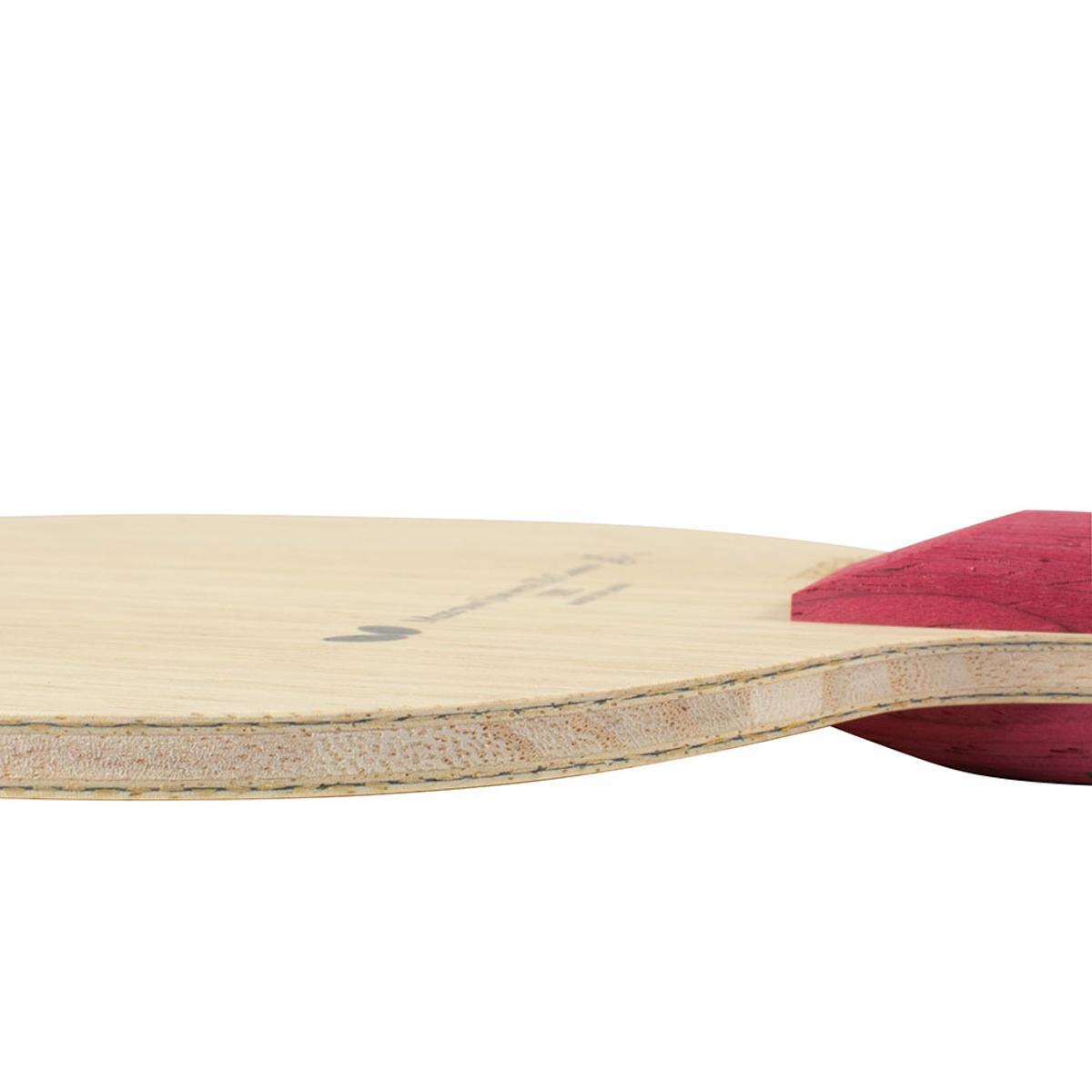 Mizutani Jun ZLC view 3