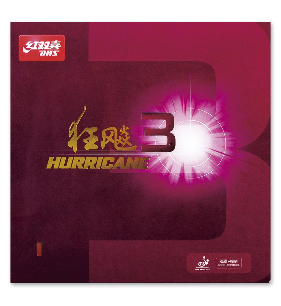 DHS Hurricane 3