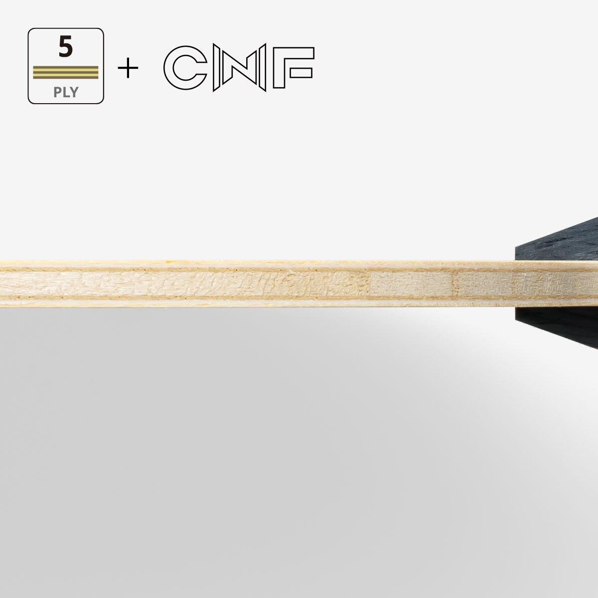 Fan Zhendong CNF view 3